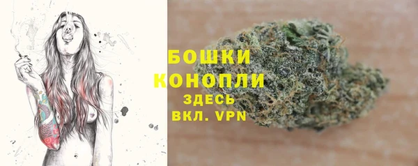mdpv Инта