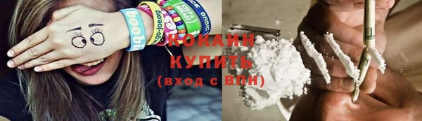ГАЛЛЮЦИНОГЕННЫЕ ГРИБЫ Инсар