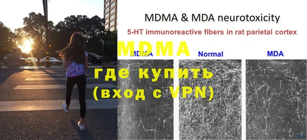 ГАЛЛЮЦИНОГЕННЫЕ ГРИБЫ Инсар