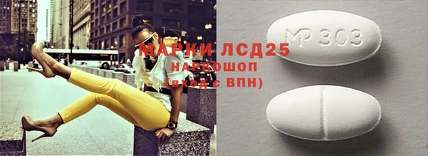 ГАЛЛЮЦИНОГЕННЫЕ ГРИБЫ Инсар