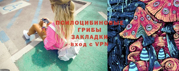 mdpv Инта