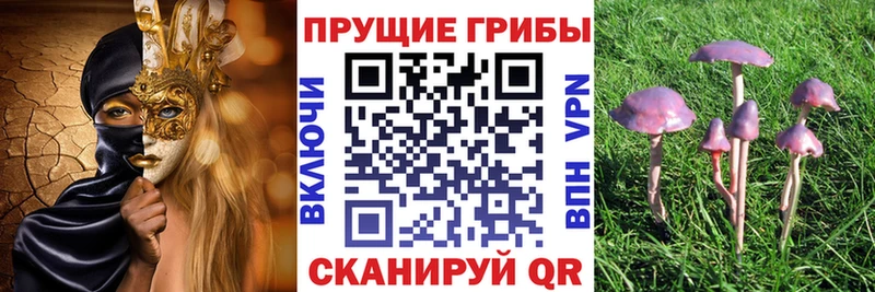 Псилоцибиновые грибы мухоморы  Купить где  Нытва 